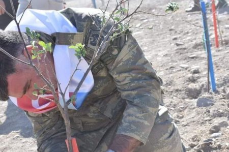 Alimdən şəhidlərin adına salınan bağ ilə bağlı ÇAĞIRIŞ - FOTO