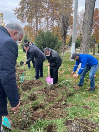 Novruz Aslanov İsmayıllıda - FOTOLAR