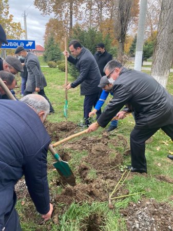 Novruz Aslanov İsmayıllıda - FOTOLAR