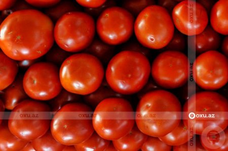 Gizli düşmən: Pomidor hansı halda komaya səbəb ola bilər?