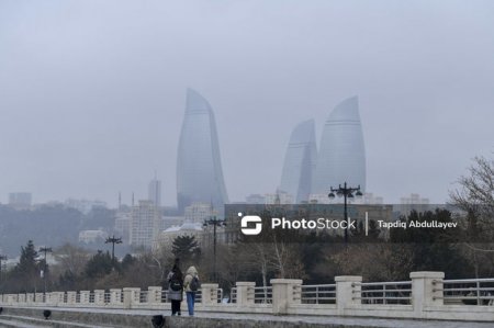 Baş nazirdən Bakı bulvarı ilə bağlı QƏRAR - FOTO